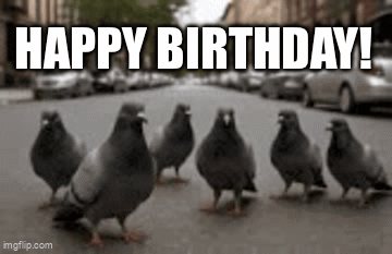 Dove Birthday GIF. This 360 x 233 animated GIF is part of our lustige freitags bilder collection. Created by aslvdr. View the original animation, share it…