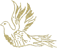 Dove Duif GIF