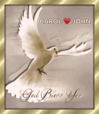 Dove God Bless You GIF