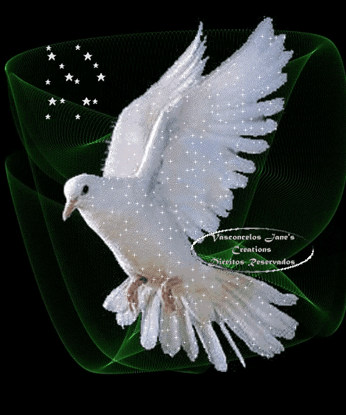 Dove Love Bird GIF