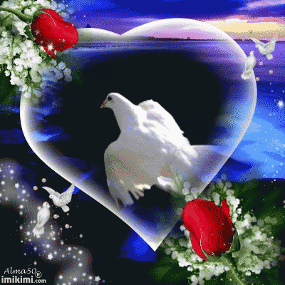 Dove GIF