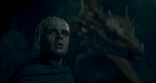 Dracarys House Of The Dragon GIF
