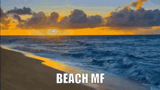 Dragolo Beach Mf GIF