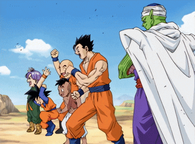 Dragon Ball Dragon Team GIF