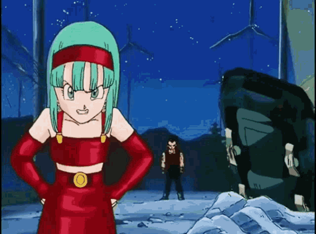 Dragon Ball Gt Bra Briefs GIF