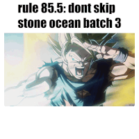 Dragon Ball Rule 85 Sticker