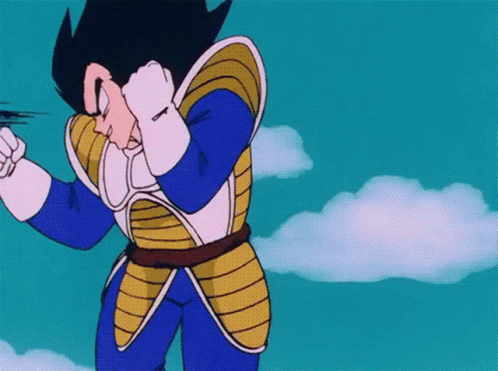 Dragon Ball Vegeta GIF