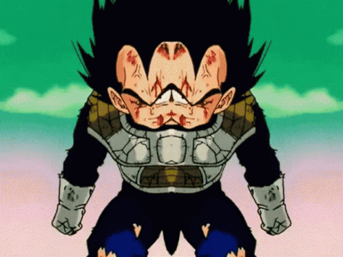 Dragon Ball Z Vegeta The Walker GIF