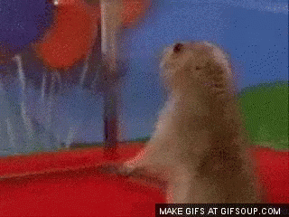 Dramatic Drama Queen GIF