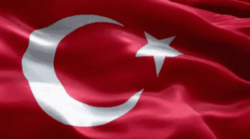 Drapeau Turque Flag Of Turkey GIF