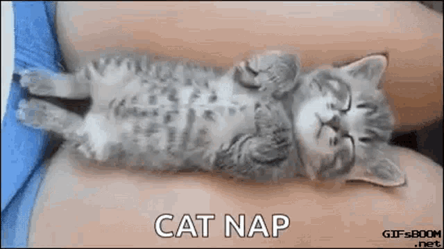 Dream Cat Nap GIF