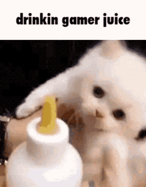 Drinkin Gamer Juice Gamer GIF