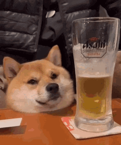 Drinking Beer GIF
