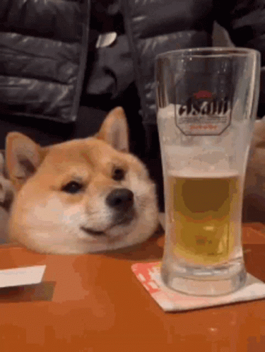 Drinking GIF
