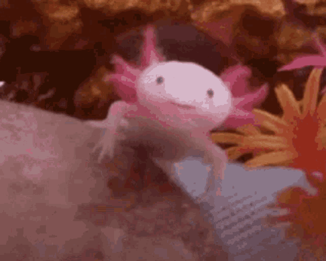 Drinking Water GIF