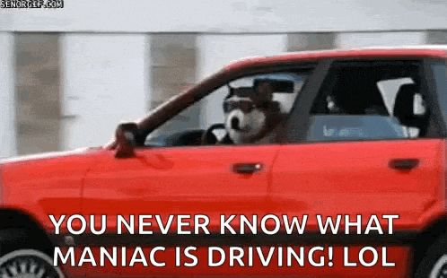 Drive What GIF