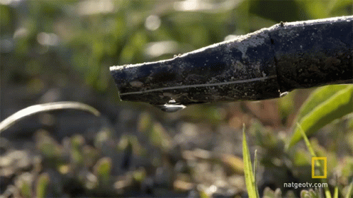 Drop Of Water Water Drop GIF