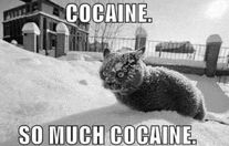 Drugs Are Bad Mmkay Drugged Up Meme