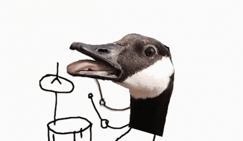 Drum Snare Goose Ba Dum Tss GIF