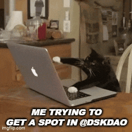 Dsk Dskdao GIF