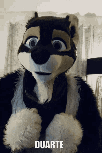 Duarte Sdkduarte GIF