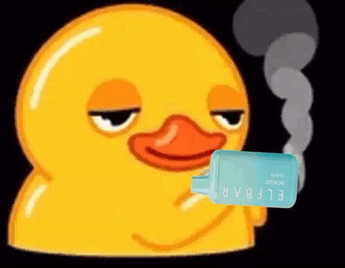 Duck Aya GIF