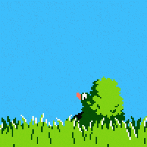 Duck Dog GIF