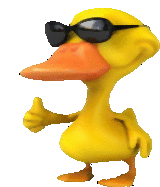 Duck Duck Like Sticker