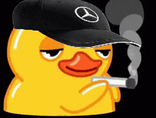 Duck Duck Smoking GIF