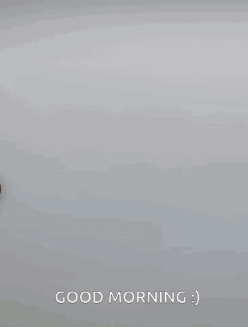 Duck Good Morning GIF