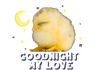 Duck Good Sticker