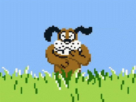 Duck Hunt Dog GIF