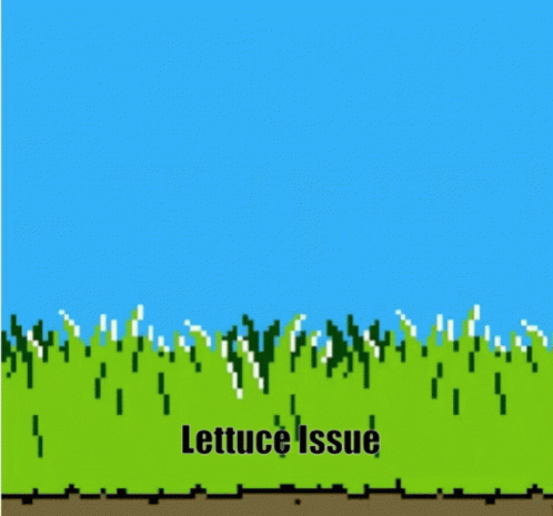 Duck Hunt Lettuce GIF