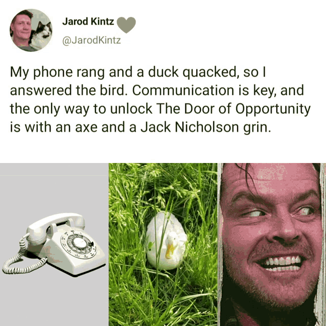 Duck Meme Bird Meme GIF