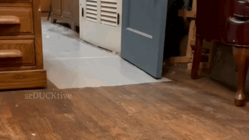 Duck Run Duck Running GIF