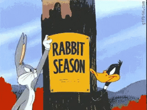 Duck Season Rabbit Season GIF