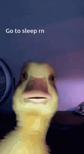 Duck Sleep GIF. This 272 x 498 animated GIF is part of our goofy walk collection. Related themes include duck, sleep. Created by CatAlterante. View the…