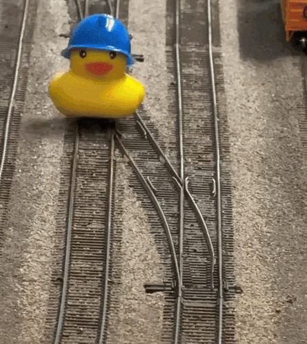 Duck Train GIF