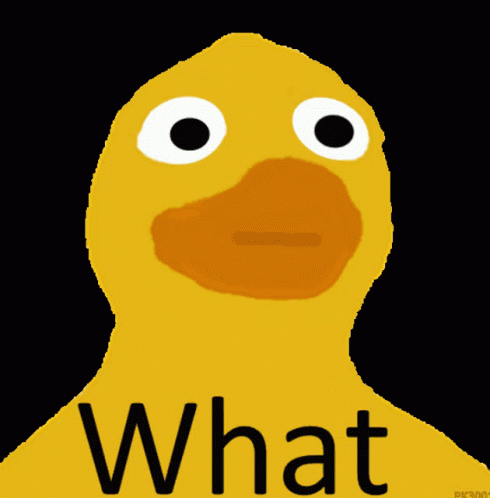 Ducky Ducks GIF