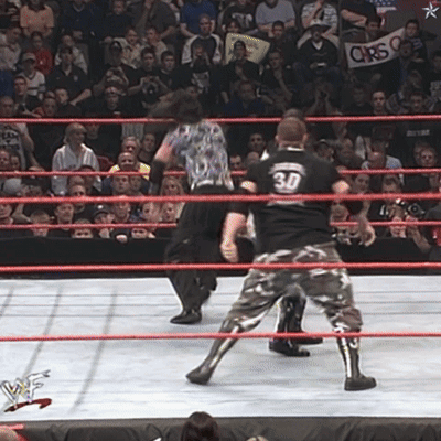 Dudley Boyz 3d GIF