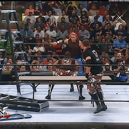 Dudley Boyz 3d GIF