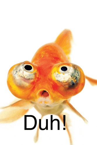 Duh Well Duh Meme
