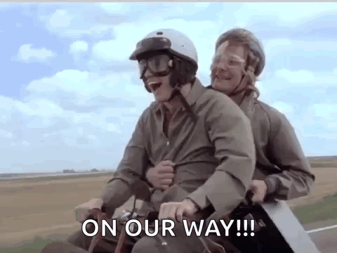 Dumb And Dumber Dumb And Dumber Gif GIF