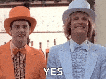 Dumb And Dumber Dumb And Dumber Gif GIF