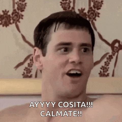 Dumb And Dumber Dumb And Dumber Gif GIF