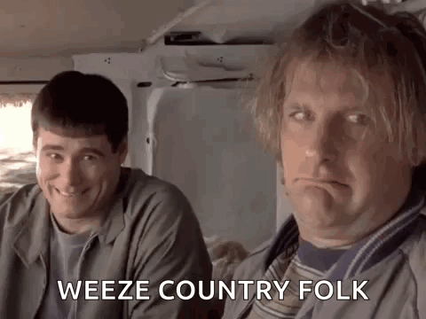 Dumb And Dumber Dumb And Dumber Gif GIF