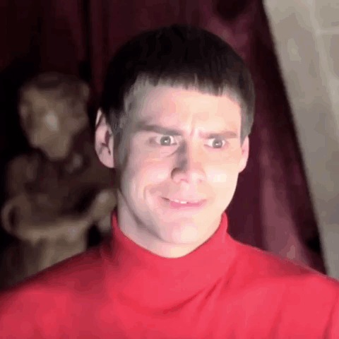 Dumb And Dumber Dumb And Dumber Gif GIF