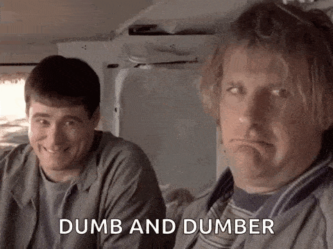 Dumb And Dumber Dumb And Dumber Gif GIF