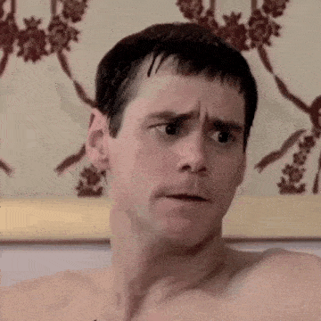 Dumb And Dumber Dumb And Dumber Gif GIF