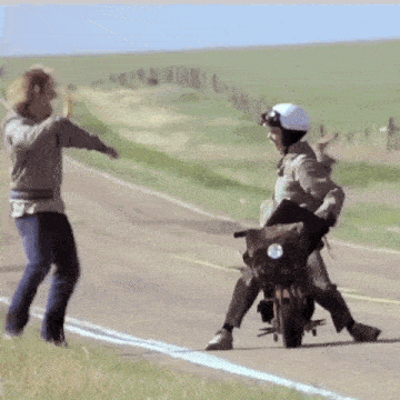 Dumb And Dumber Dumb And Dumber Gif GIF
